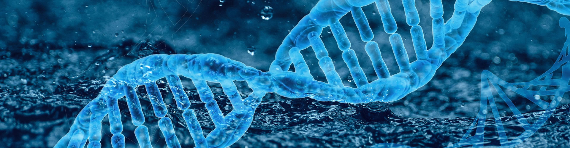 企業(yè)動態(tài)